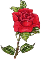 Błyszcząca róża